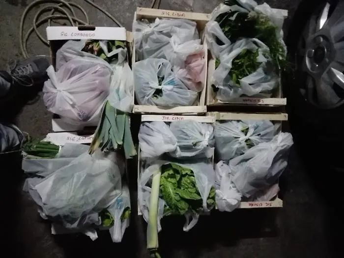 Un "carico" di frutta e verdura da distribuire