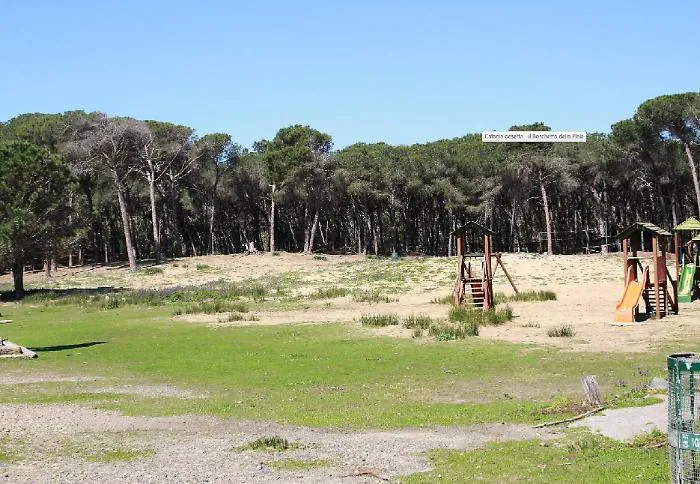 Catania, da oggi la Regione prende in gestione il boschetto della Plaia