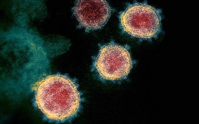 Ma davvero il coronavirus clinicamente non esiste pi&ugrave;? Esperti divisi