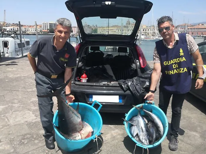 Catania, quasi 400 kg di tonno rosso sequestrato tra porto di Ognina e Maas