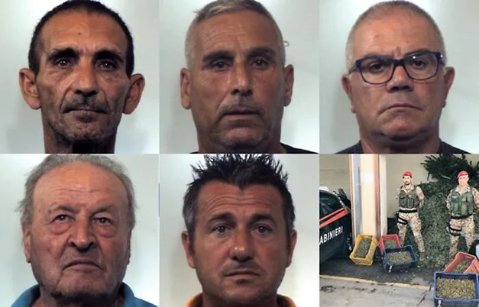 Maxi piantagione di marijuana in un aranceto a Patern&ograve;: 6 arresti