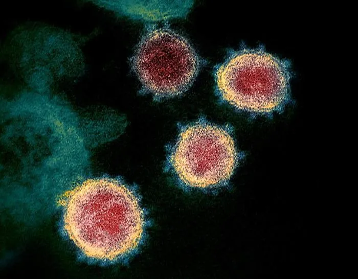 In Italia sono 5 le varianti di coronavirus isolate: e con le mutazioni si fa pi&ugrave; aggressivo