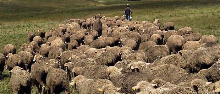 Unesco, Troina aderisce alla "Rete della transumanza"