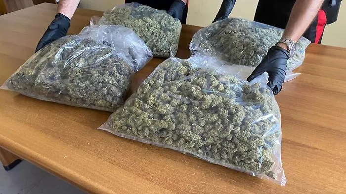 Ragusa, 2 chili di marijuana in una masseria: arrestato &ldquo;grossista&rdquo;