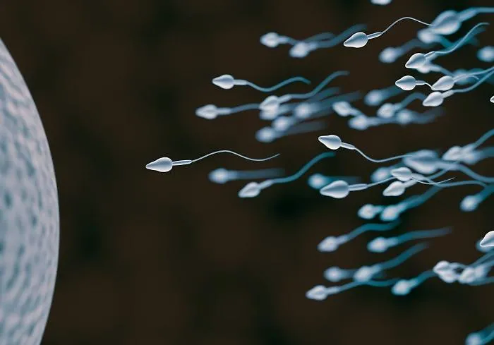 Spermatozoi in calo negli uomini della Sicilia Orientale: lo studio del Policlinico di Catania