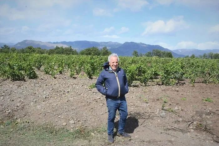 Virlinzi S.p.A. compie 100 anni e festeggia con la nuova azienda "Tenuta Ferrata"