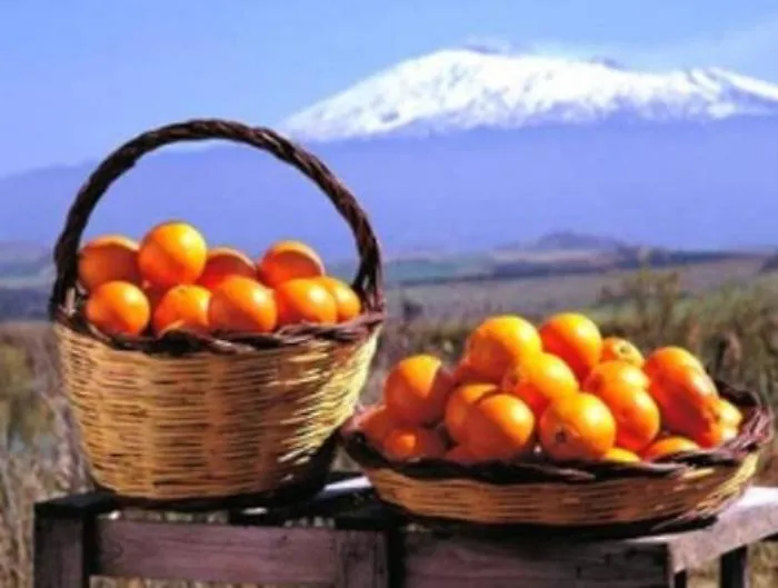 Farina di pastazzo al posto dell'olio di palma. Il progetto dell'Universit&agrave; di Catania