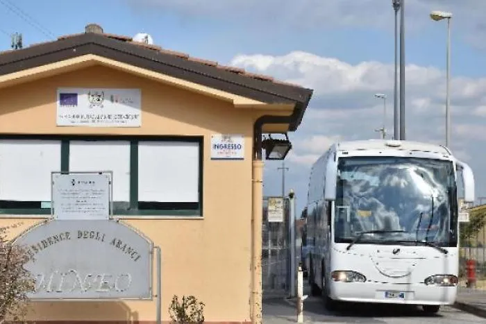 Enpa recupera 14 cani all'interno del Cara di Mineo: cercano famiglia
