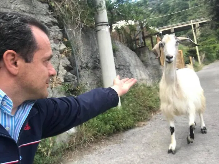 Messina, il sindaco attacca i dirigenti comunali: &laquo;Sono capre ignoranti&raquo;
