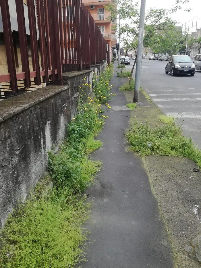 Catania: via Ferrante Aporti, necessita scerbatura