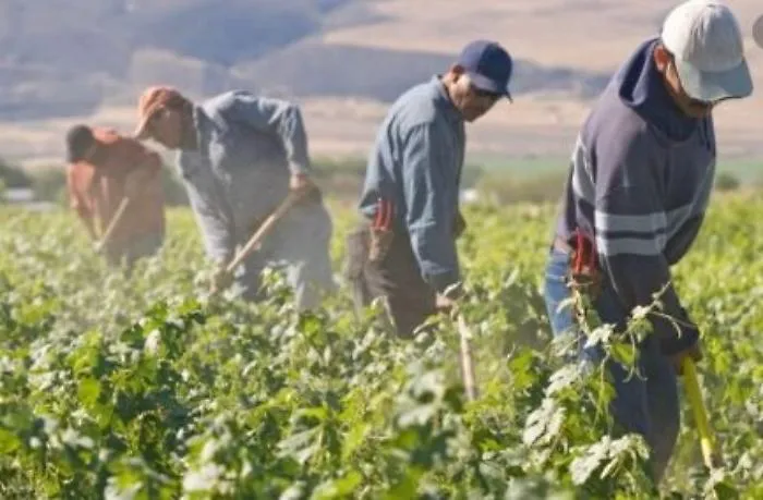 Agricoltura, un bonus carburante per i lavoratori costretti a spostarsi per raggiungere le aziende