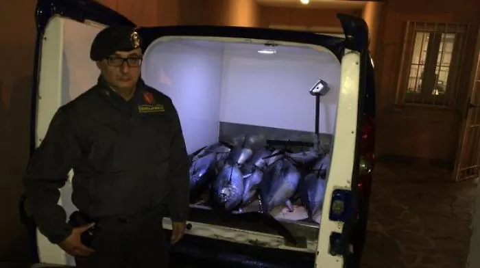 Bagheria, tonno e pesce spada non "tracciabili": maxi sequestro della GdF