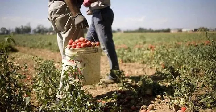 Regolarizzazione degli stranieri, in Sicilia sono almeno 20 mila