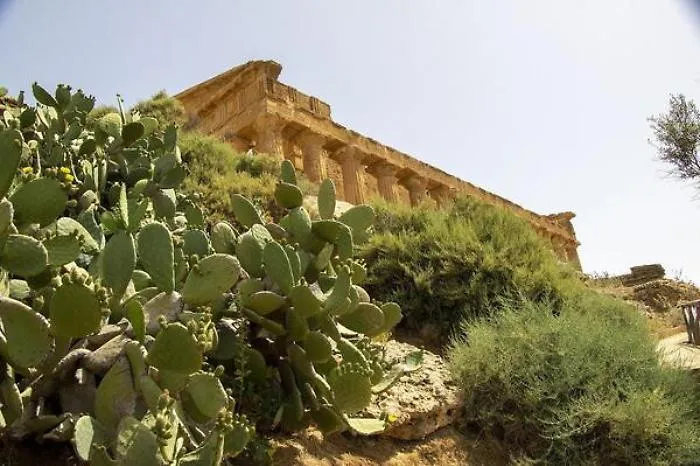 Cos&igrave; la Valle dei Templi si prepara al "risveglio" dopo il coronavirus