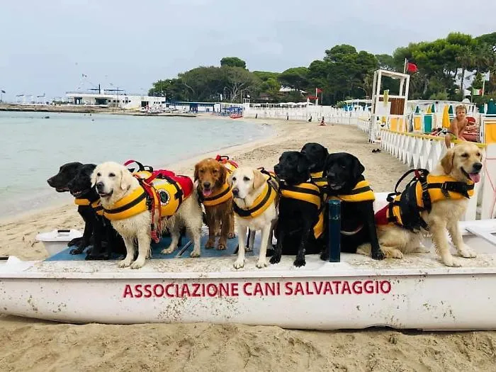 A Palermo, ferragosto sicuro in mare con i cani salvataggio della protezione civile