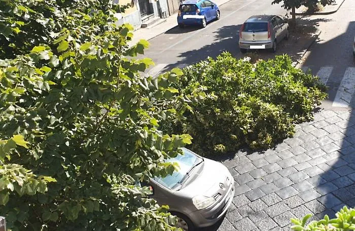 Catania: albero abbattuto da autocompattatore. La Dusty risponde