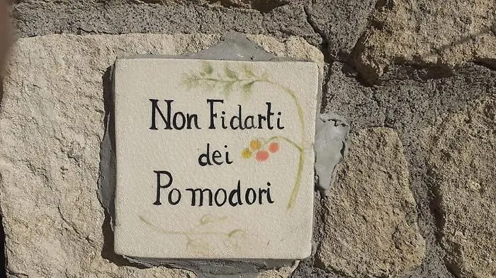 Agira, mette piastrelle artistiche sui muri per abbellire il quartiere: denunciata