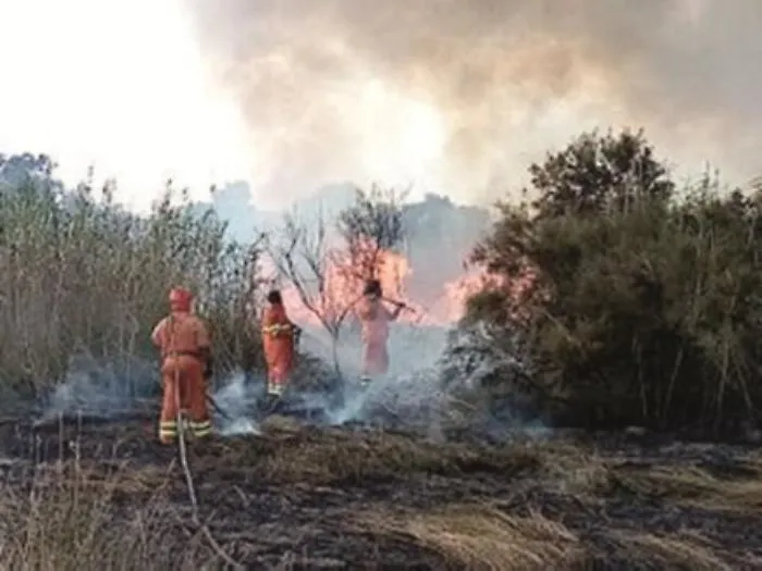 Incendio doloso nell'Oasi del Simeto: fiamme domate dopo 4 ore