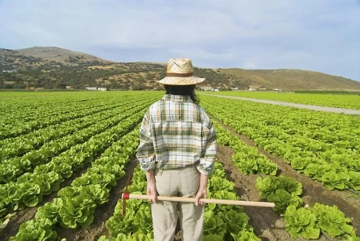 Il Sud riparte con l'agricoltura: protagonisti i giovani
