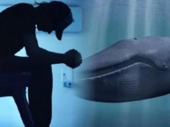 Sospetto caso di Blue Whale a Palermo, scatta l'allerta in citt&agrave;