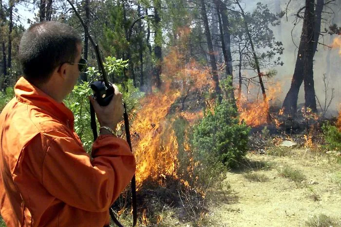 I sindacati all'Ars: &laquo;Stanziate i soldi per pagare i forestali&raquo;