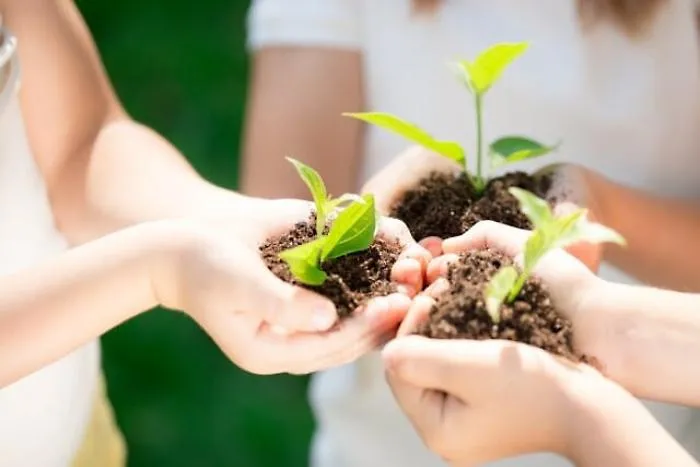 100 alberi per Catania: Legambiente lancia crowfunding su Laboriusa