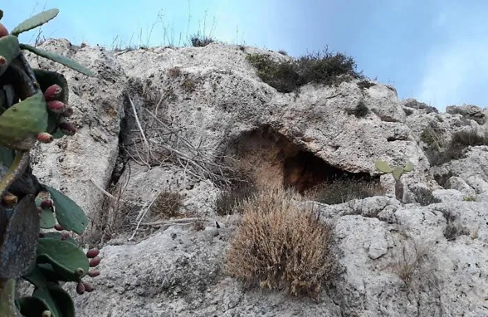 Lavora terreno per farci agriturismo e scopre che ospita loculi romani... 