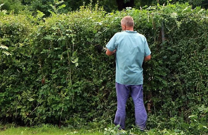 A Palermo i detenuti diventano giardinieri