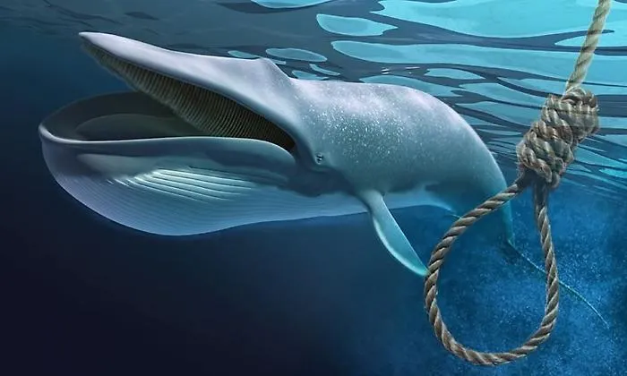 Ragazzina palermitana vittima di "Blue Whale", al via il processo