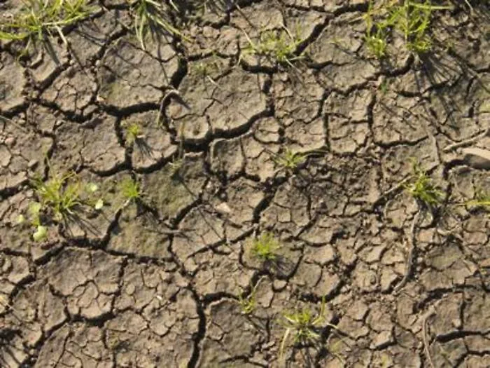 Desertificazione