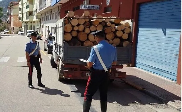 Operaio forestale sorpreso mentre tagliava gli alberi per fare legna