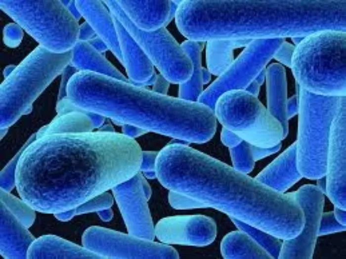 Rischio Listeria, la Coldiretti: &laquo;No ad allarmismi&raquo;