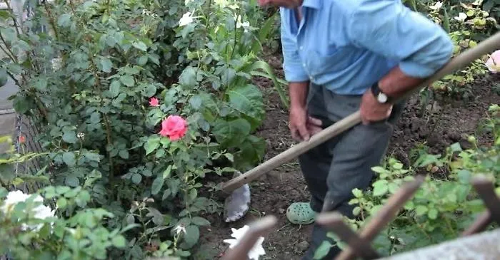 Evade da casa per innaffiare il giardino: anziano arrestato ad Agrigento