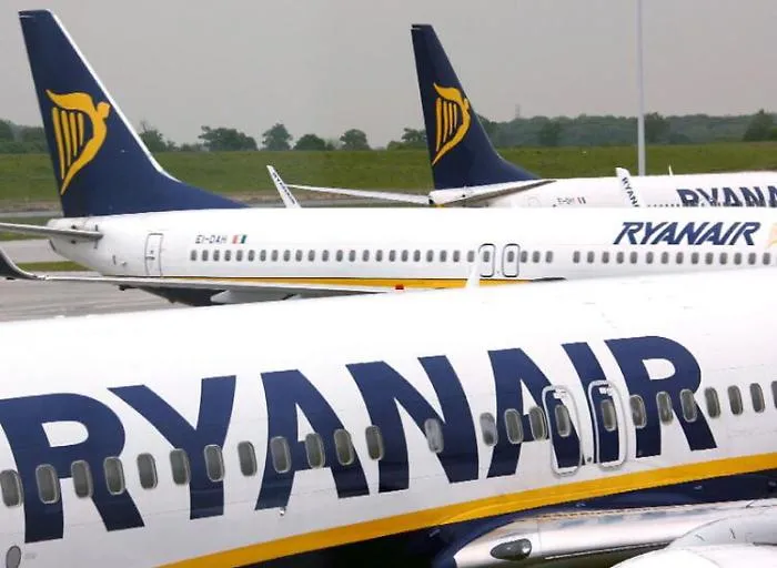 Palermo, stormo di uccelli finiscenel motore di aereo in atterraggio