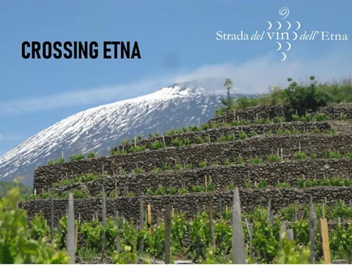 Tour operator e giornalisti stranieri sull'Etna &laquo;Venite a vedere il nostro territorio&raquo;