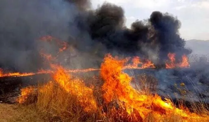 Castel di Iudica: rogo di sterpaglie, persone intossicate e case evacuate