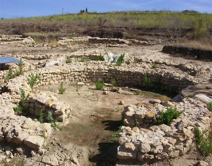 Rogo nell'area archeologica di Mokarta. Il sindaco: &laquo;Gesto vigliacco&raquo;