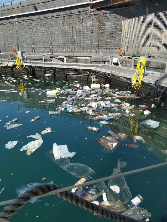 Porto di Catania: nessun rispetto per il nostro mare