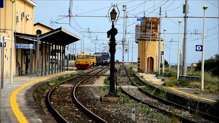 Treno lo investe mentre raccoglie lumache: vivo "per miracolo"