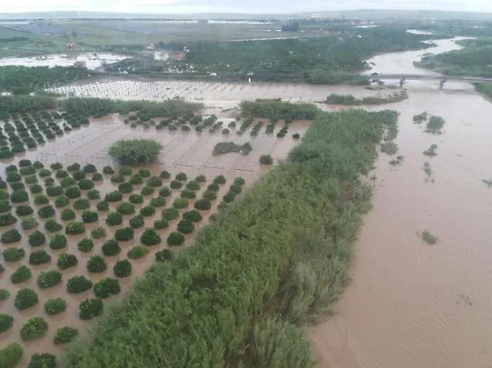 Danni maltempo all'agricoltura