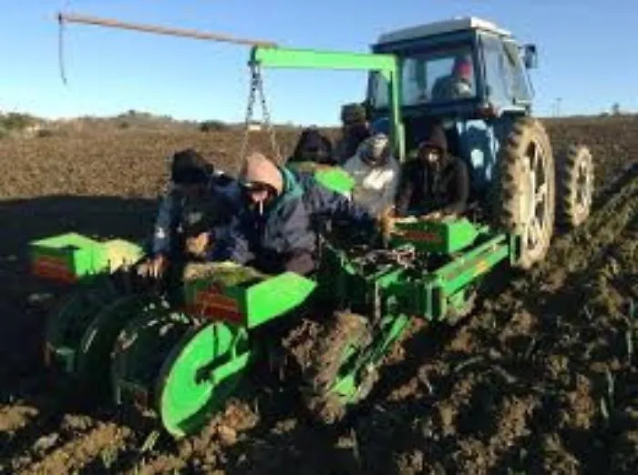 Cianciana: alla Sagra dei grani antichi si parler&agrave; anche di agricoltura biologica
