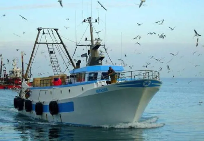 Pesca, consorzi Cogepa, finanziamenti per 14: via a piani di gestione locali 