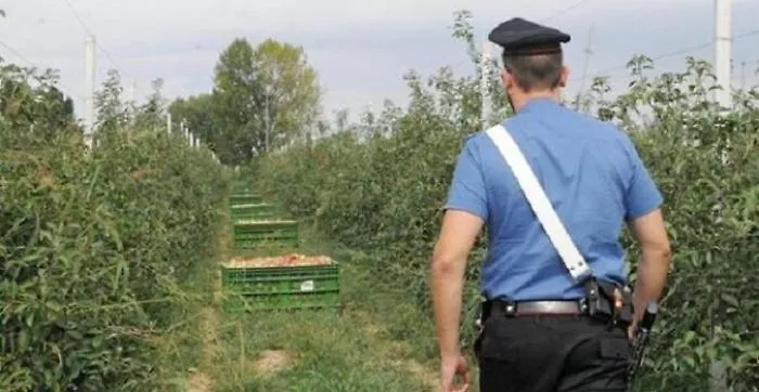 Siracusa, controlli anti caporalato: un operaio su due impiegato in nero