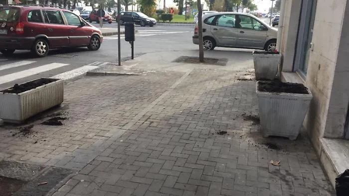 Furti, gli addobbi natalizi in viale Jonio "vanno a ruba"