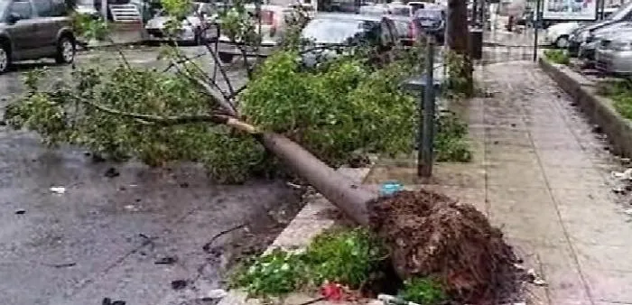 Maltempo, tempesta di vento a Palermo: tre feriti