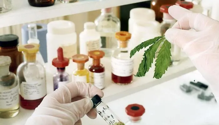 Farmaci a base di cannabinoidi in uso all' Asp di Ragusa