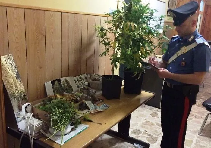 Catania, studiavano e coltivavano marijuana