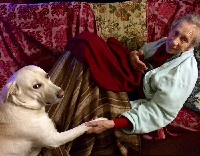 Festa dei nonni