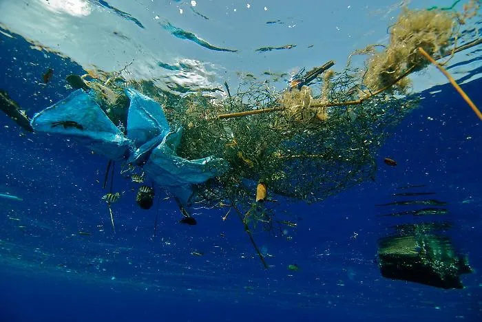 Uno studio su Nature: il Mediterraneo &egrave; diventato una &ldquo;zuppa&rdquo; di microplastiche