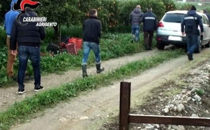 Lavoratori "in nero" per raccolta arance: arrestato presunto "caporale" di Ribera